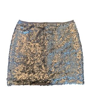J. Crew Silver Sequined Skirt NWT